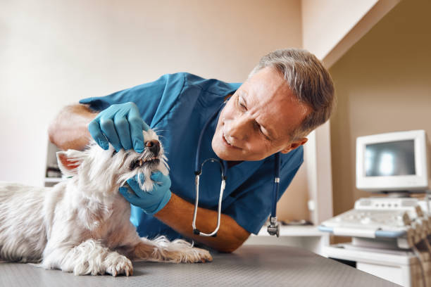 Best Weekend Emergency Dentist in Drexel Hill, PA